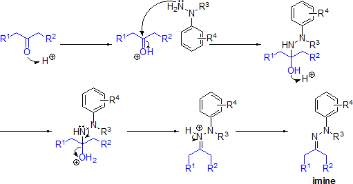フィッシャーインドール合成 (Fischer Indole synthesis)