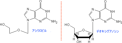 アシクロビルとグアノシン