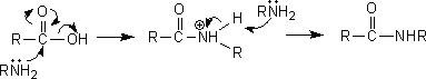 カルボン酸ハロゲン化物