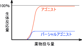 パーシャルアゴニストの反応-用量曲線