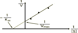 ミカエリス・メンテン式の逆数のプロット