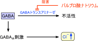 バルプロ酸ナトリウムの作用機序