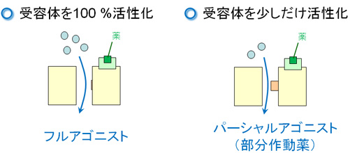 ブプレノルフィンとナロキソンの併用